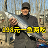农村大集，大叔198元鲅鱼一鱼两吃真香