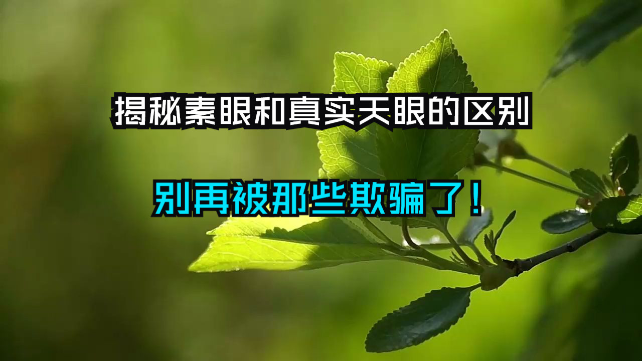 揭秘素眼和真实天眼的区别，别再被那些大师欺骗了！