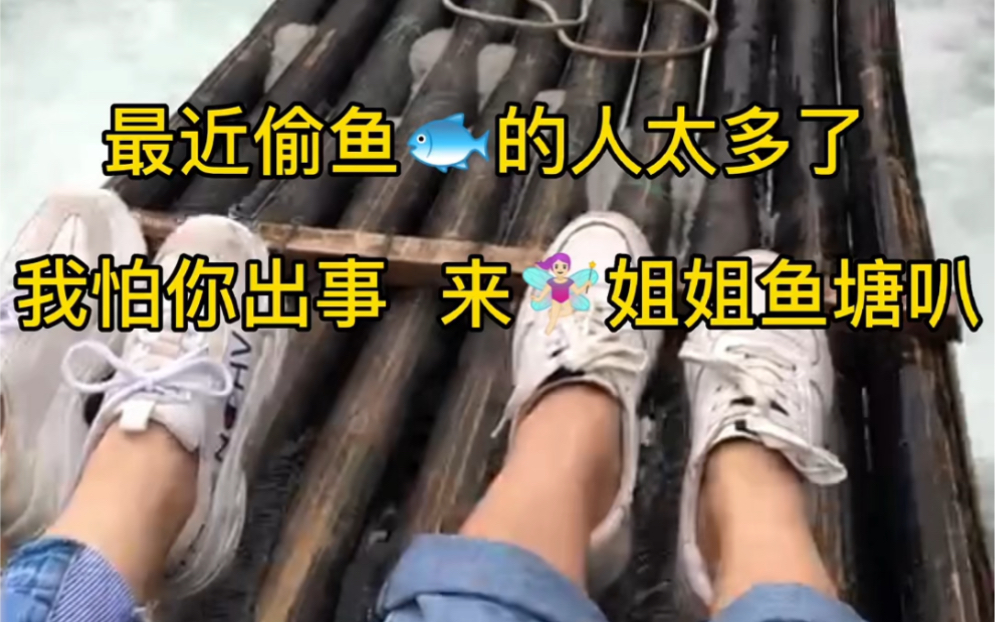 最近偷鱼的人太多了我怕你出事来姐姐鱼塘养鱼叭