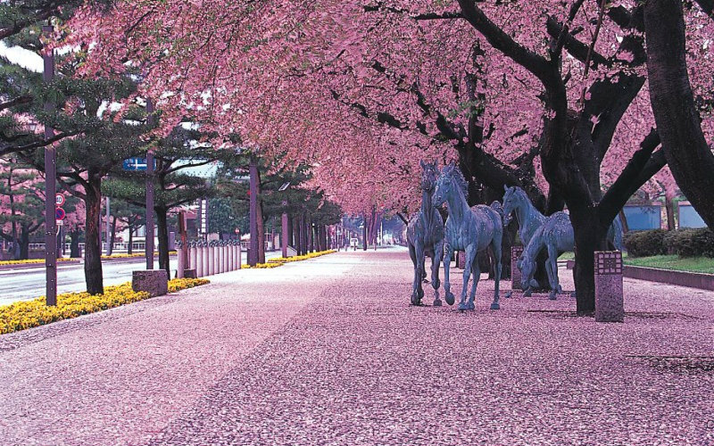 日本近畿地方GDP_日本战国近畿地区地图