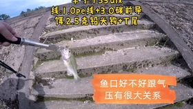 c5b34a7ee3a63d3e053278690da0b978f43cde7c.jpg@280w_158h_1c_100q.jpg