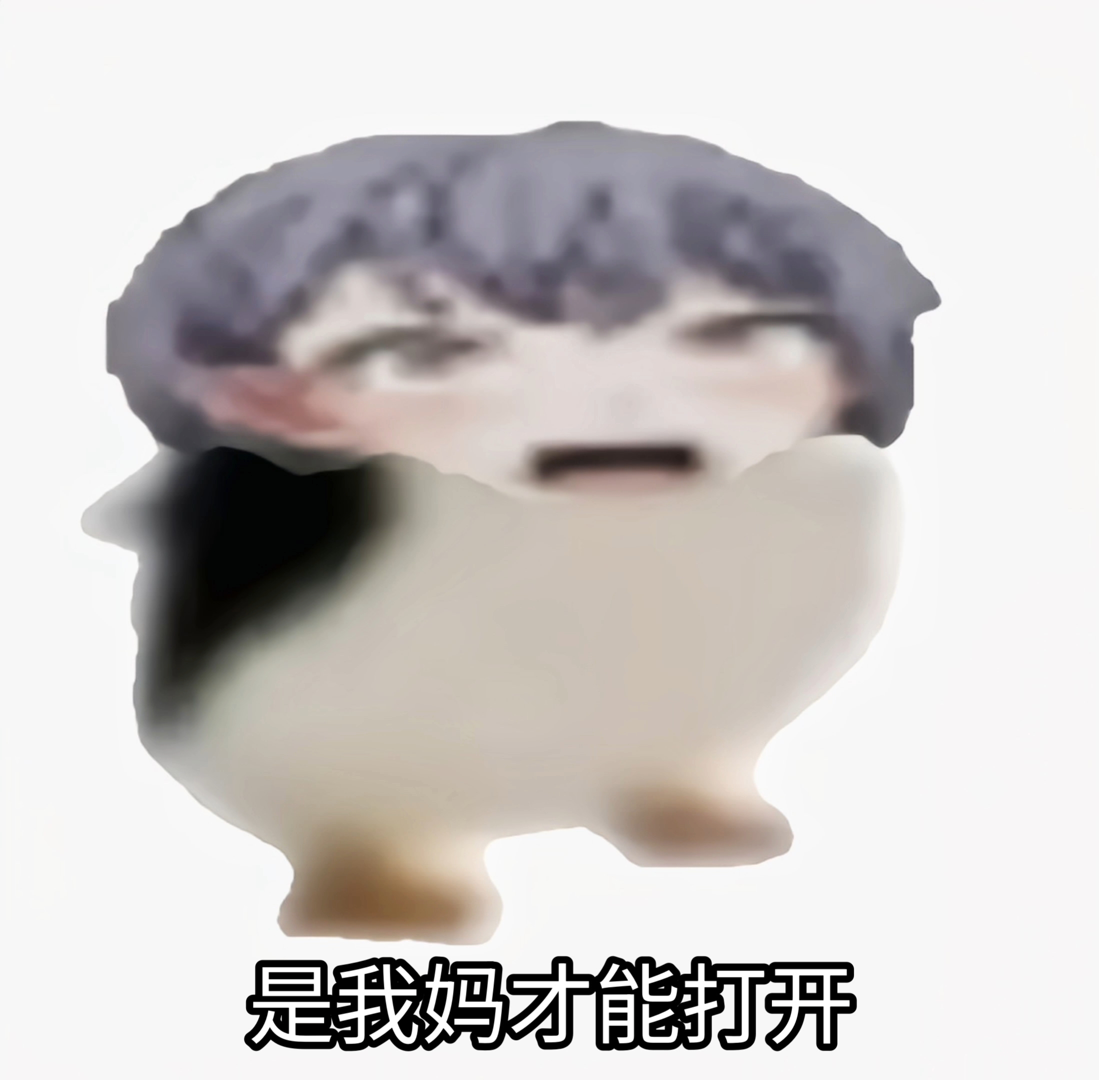 🐧我妈把我galgame删了！