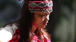 c5b5a5d836eb927aa34df87f3b62bbbc8c6d9217.png@310w_174h_1c_100q.jpg