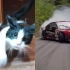 猫咪和汽车的共同点！