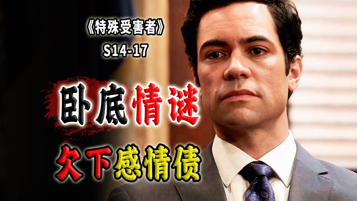 卧底多年欠下桃花债！绝世好男人家外有家，陷入两难困境《SVU》S14-17