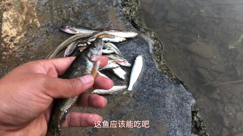 c5e2e263d139afa63d473de07e5d7b0d4438a944.jpg@480w_270h_1c