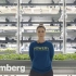 【Bloomberg】未来农场里的高科技农民