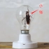 实验：将“小强”放在“灯泡”中，接上200V交流电后会怎么样呢？