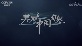 爱的轨迹，一部值得免费观看的短剧，爱的轨迹，一部免费观看的感人短剧