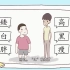 中华汉字演变学习《比》微视频