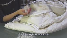 c628d83e07921ffe43db78982560a94bf4ef009f.jpg@280w_158h_1c_100q.jpg