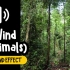 强风 风声 动物 森林 丛林 树木 环境音 音效 (HQ)