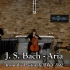 J. S. Bach  Aria from the Pastorale BWV 590: Tatjana Rediko,