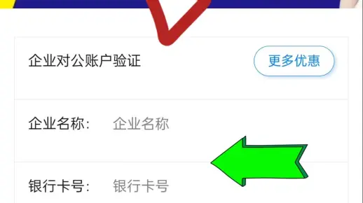 企业银行开户行及账户查验