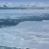 bbc（全球气候变化）南极企鹅飞往热带雨林过冬