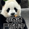 小奇迹新邻居你可打不过，你可要好好交朋友