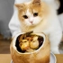 中国最嫩的鸡？3个椰子煮1只，甜嫩无比馋哭小猫咪！