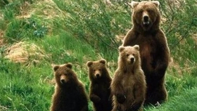 你能不能不要离开我完整版 c68c20bd22c7b30b982a640da878ffaa023fdf9d.jpg@280w_158h_1c_100q.jpg