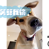 不笑算我输