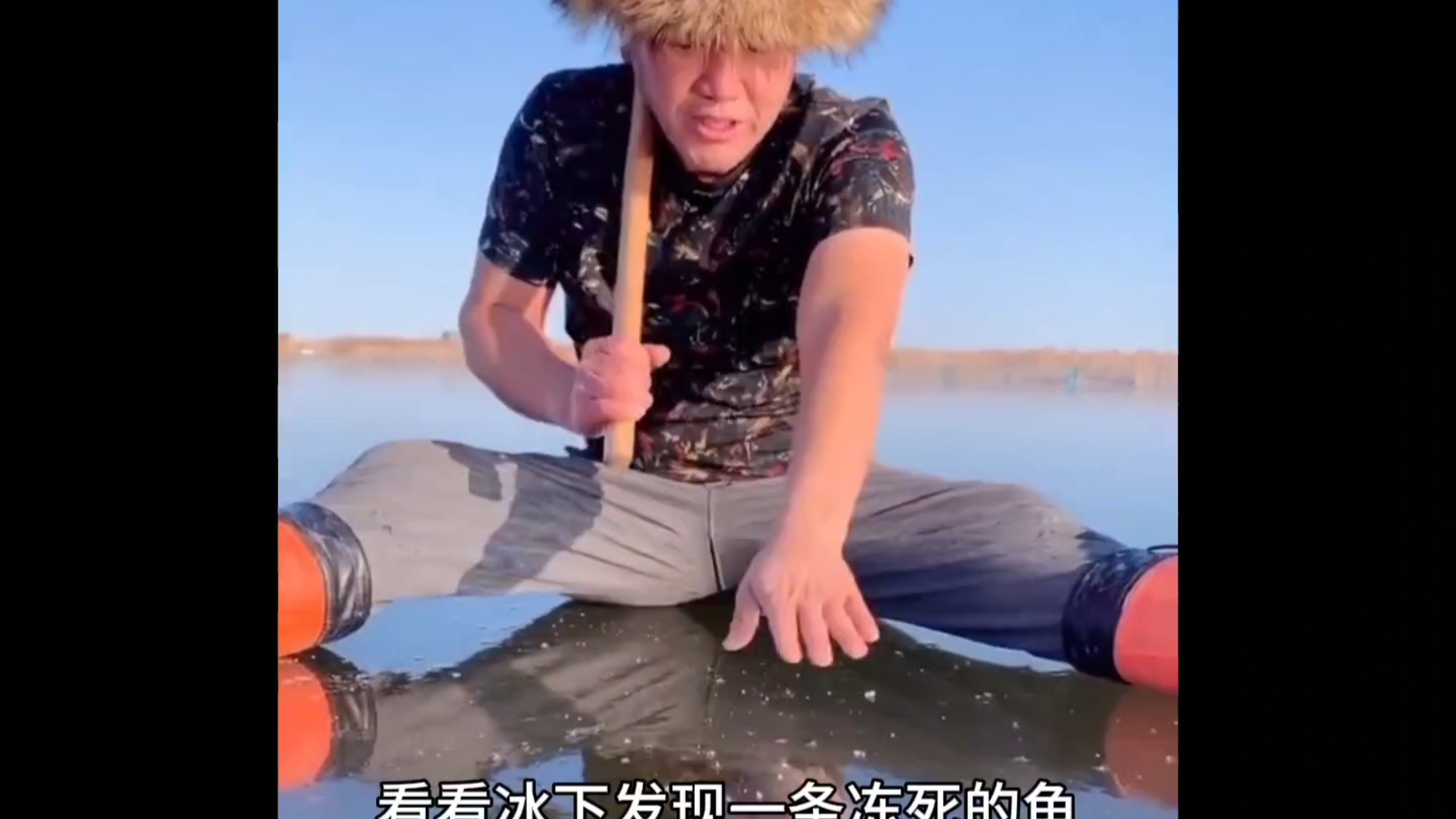 我各科水平belike：