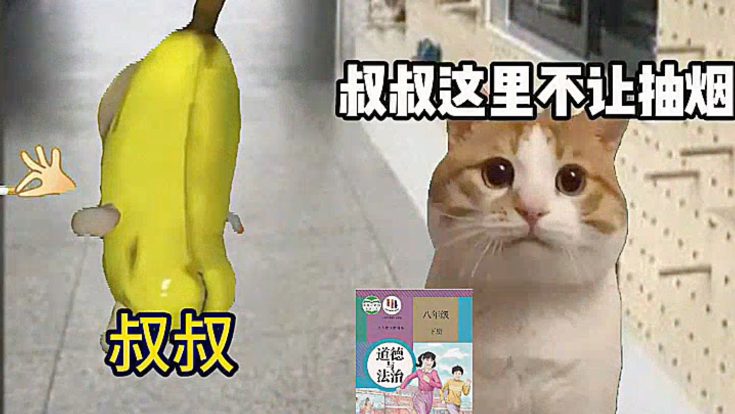 道法vs法治