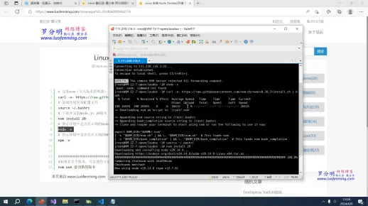 Linux 安装 Node (Nodejs)环境