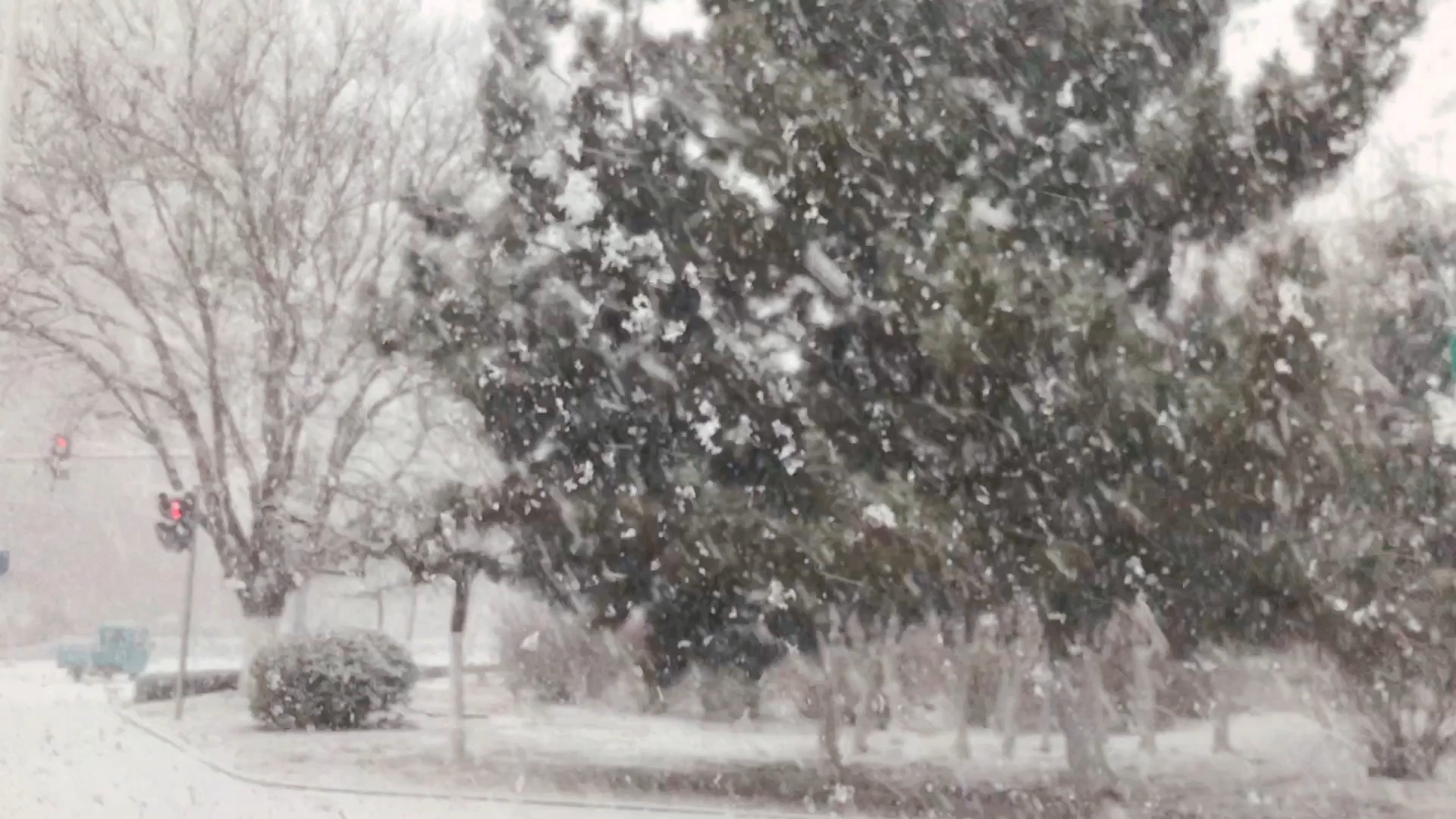 我突然想起一首歌,雪花飘飘,北风萧萧