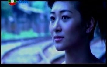 陈星《雁南飞》卡拉OK精选VCD