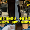 铲屎官叫猫咪传话，小猫听懂后出门叫其过来，网友：真的成精了