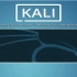 Kali Linux 2018.3 amd64 安装