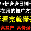 【新手看完就懂开车】2025拼多多日销千单都在用的推广方式低价高投产 高价强付费 拼多多运营，拼多多开店教程，拼多多运营教程，拼多多新手开店，拼多多运营实操教程