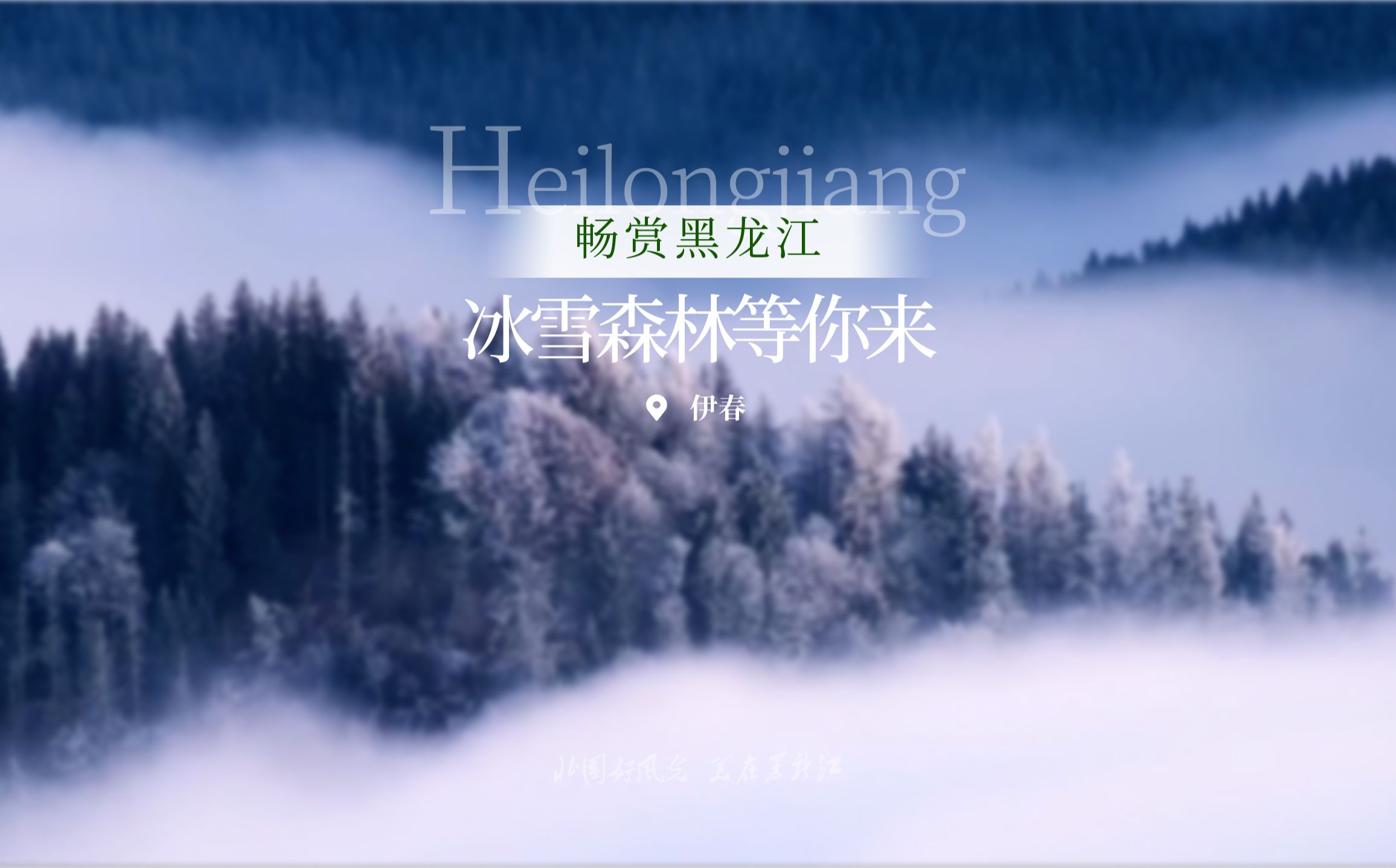 飞“阅”伊春，冰雪森林等你来！