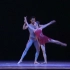 第二届广东岭南舞蹈大赛【广州芭蕾舞团】双人舞《人间有情》