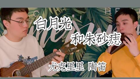 动态谱花非花歌曲谱_花非花正谱(2)