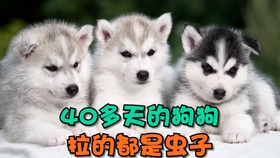 c75e5685d58c6fcc7e98838f90379a0bcad6f1b7.jpg@280w_158h_1c_100q.jpg
