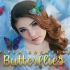 灰姑娘（Butterflies MV）