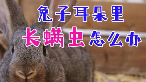 c76713a80f109092852feb97ae81e14c238f62d6.jpg@480w_270h_1c