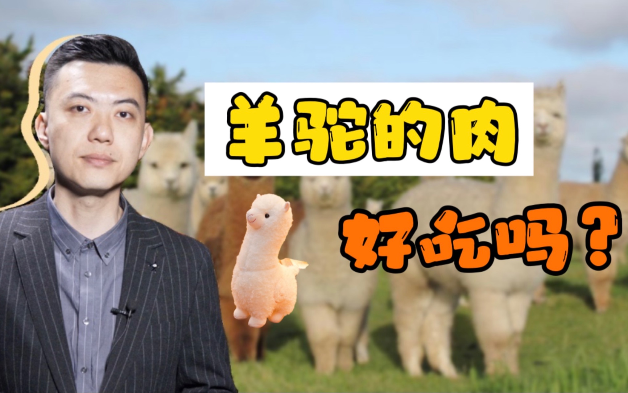 它的名字有点脏 它的肉肉有点香！