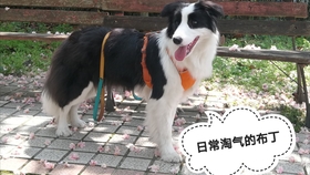 c79a4fa6a021915dd7a8840b79b09c93a03297c5.jpg@280w_158h_1c_100q.jpg