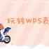 玩转WPS表格【21集】