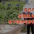 【卢克文工作室】中国特色乡村振兴产业，林下经济中药产业链