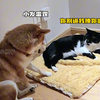 猫:你不要给我哇哇叫