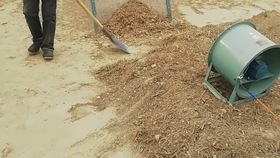 野丹参是什么样 c7df857faf320ca8ff85d434d85467eec9bb5542.jpg@280w_158h_1c_100q.jpg