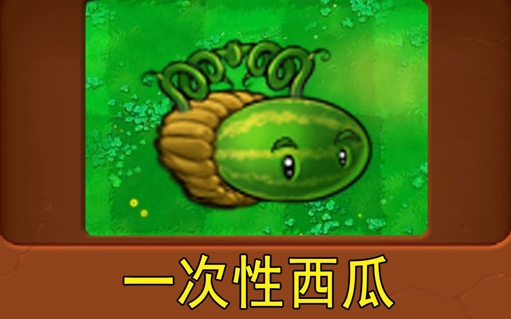新植物：一次性西瓜