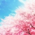 【半音阶口琴奏】Sakura——樱色的爱恋