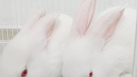 c7feae79e11a74f0c1eeff8049c7322f9e70de08.jpg@280w_158h_1c_100q.jpg