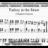 奥托·博内尔：美国民歌《稻草堆里的火鸡》拉格泰姆幻想曲- Otto Bonnell：Turkey in the Stra
