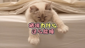 c81a33bab94eda4972fd277b91d15f5666820003.jpg@280w_158h_1c_100q.jpg