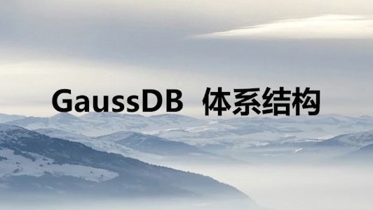 GaussDB 数据库体系结构介绍