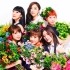 Flower PV & TV Live合集
